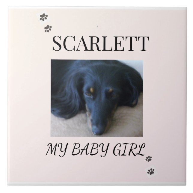 Blush Minimal Pet 1 Photo with Paw Prints Tile (Front)