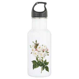 blush noisette rose(Rosa noisettiana) by Redouté 532 Ml Water Bottle
