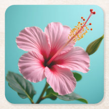 Blush of Elegance: Pink Hibiscus Radiance