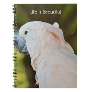 Blush Parrot Bird in Tree Kauai (my photography) Notebook