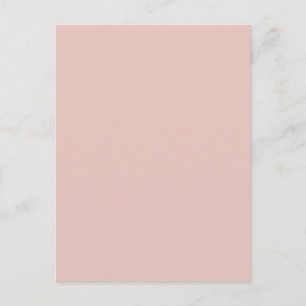 Blush Peachy Light Pink Solid Colour Background Postcard