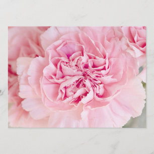 Blush Pink Carnations Invitation