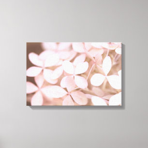 Blush Pink Hydrangea Flower Petals Canvas Print