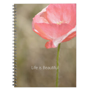 Blush Pink Iceland Poppy Flower (my photography) Notebook