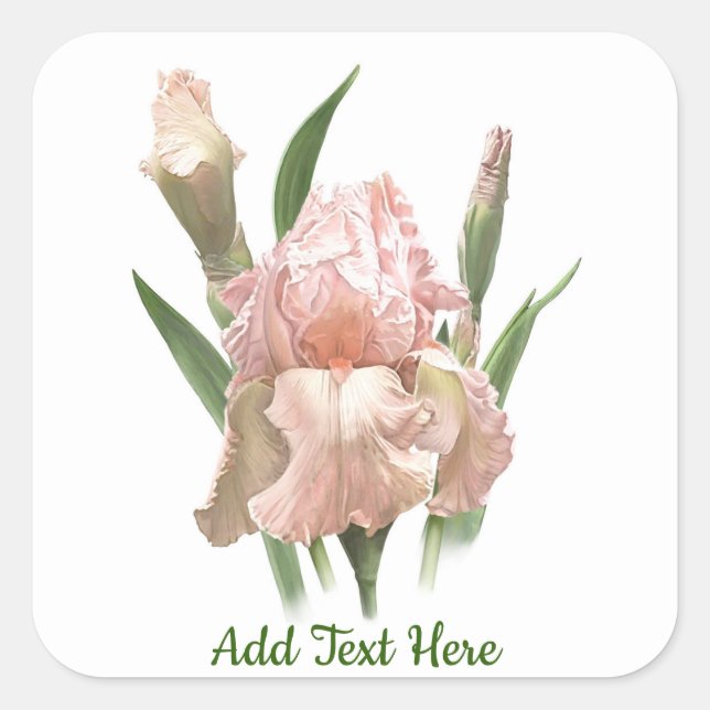Blush Pink Iris Square Sticker (Front)
