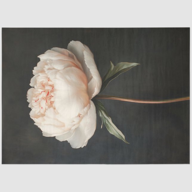Blush Pink Peony Botanical Painting Decoupage Tissue Paper (Front)