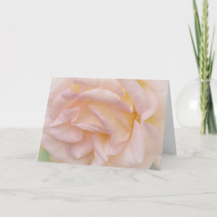 Blush Pink Rose and Petals Note Card