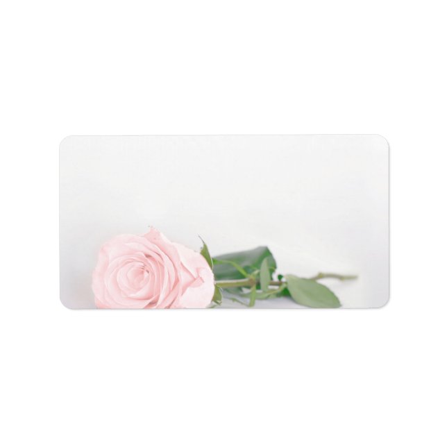 Blush Pink Rose Blank DIY Print Wedding Address Label (Front)