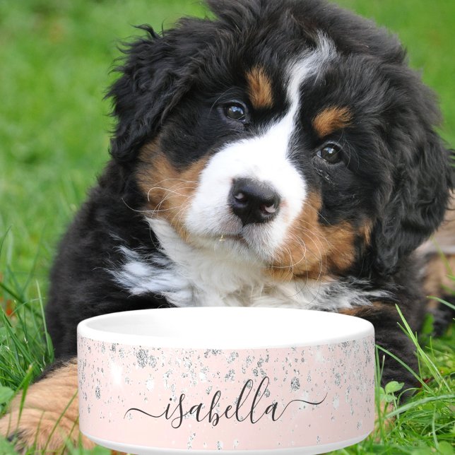 Blush pink rose gold silver glitter dust name bowl (Creator Uploaded)