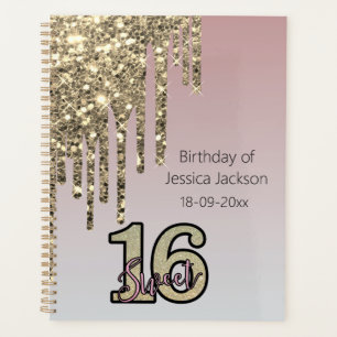 Blush Pink  Rose Gold Sweet Sixteen Planner