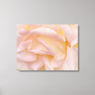 Blush Pink Rose Petals Floral Art Canvas Print