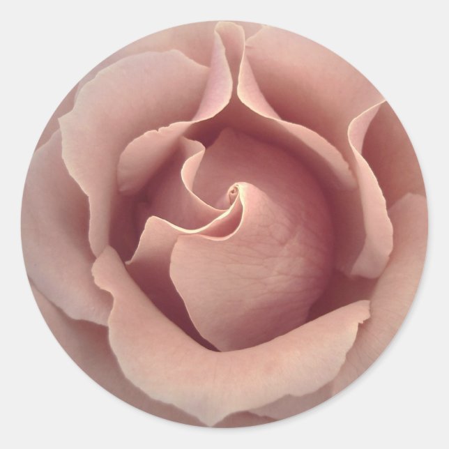 BLUSH PINK Rose - Wedding Envelope Seal (Front)
