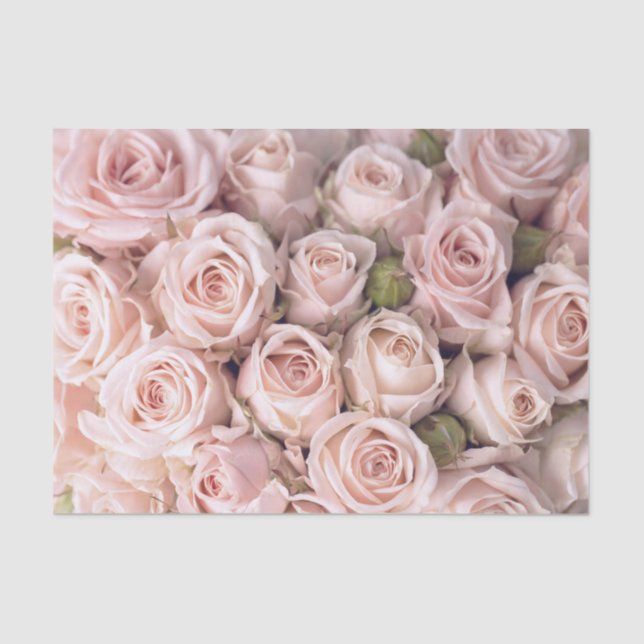 Blush Pink Roses Tissue Paper (Front)