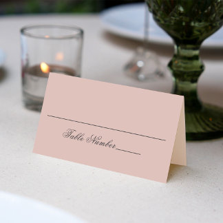 Blush Pink Wedding Guest Table Number  Place Card