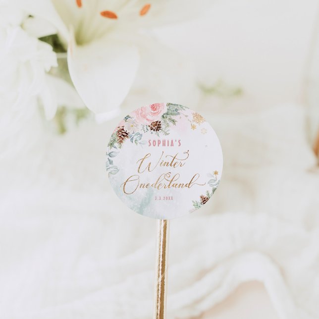Blush pink winter onederland girl birthday classic round sticker (Creator Uploaded)