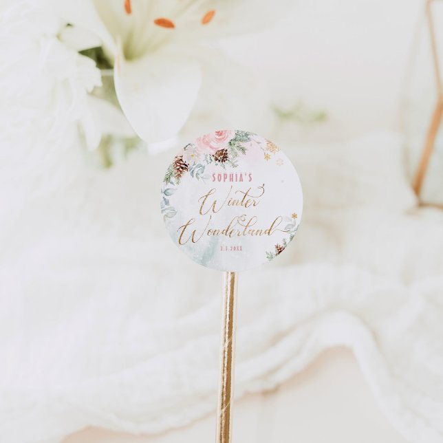 Blush pink winter wonderland girl birthday classic round sticker (Creator Uploaded)