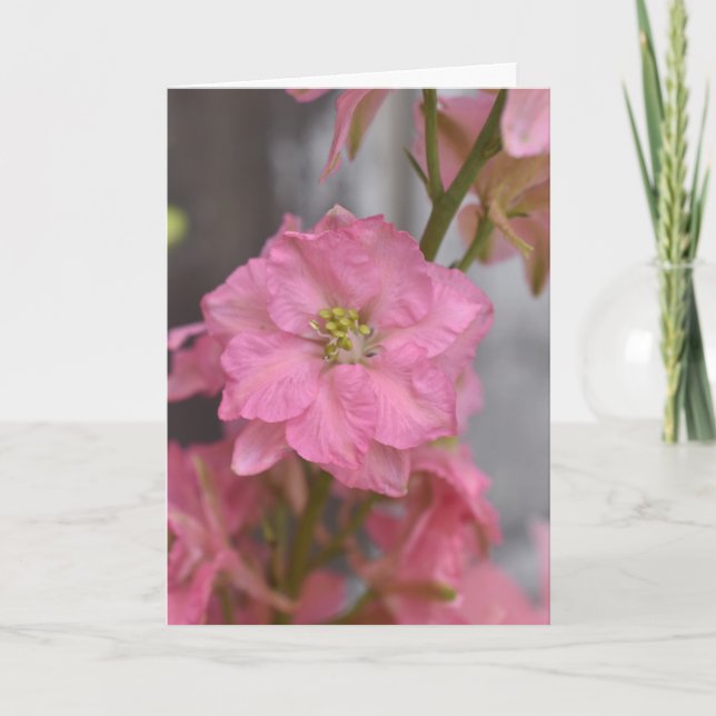 Blush Reverence – Pink Blossom Macro Floral Card (Front)