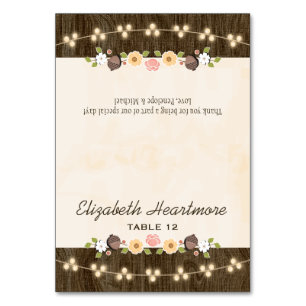 Blush String of Lights Fall Rustic Tent Place Card