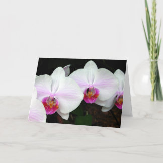Blushing Bride Orchids Greeting Card