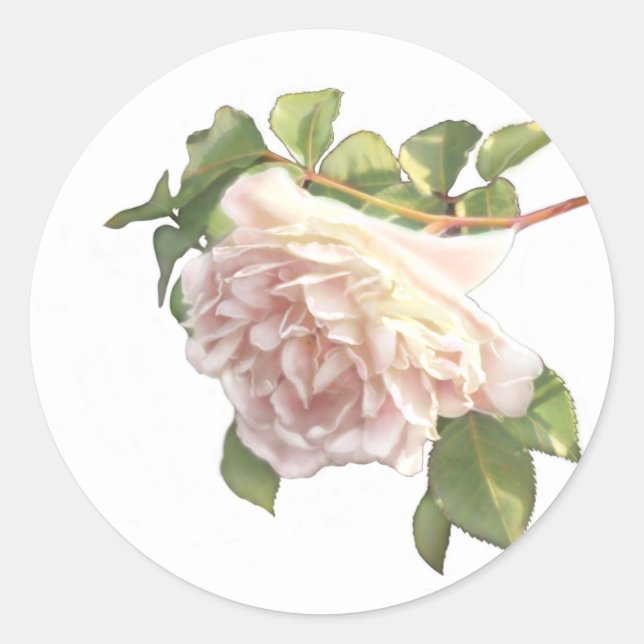 Blushing Ivory Peach Rose Classic Round Sticker (Front)