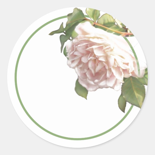 Blushing Ivory Peach Rose Classic Round Sticker (Front)