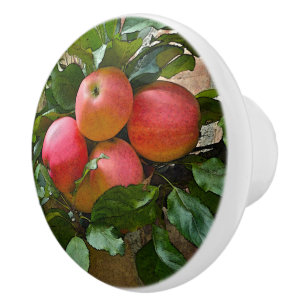 "BLUSHING PINK APPLES" CERAMIC KNOB