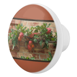Blushing-red Apples Growing On Brick Wall Ceramic Knob