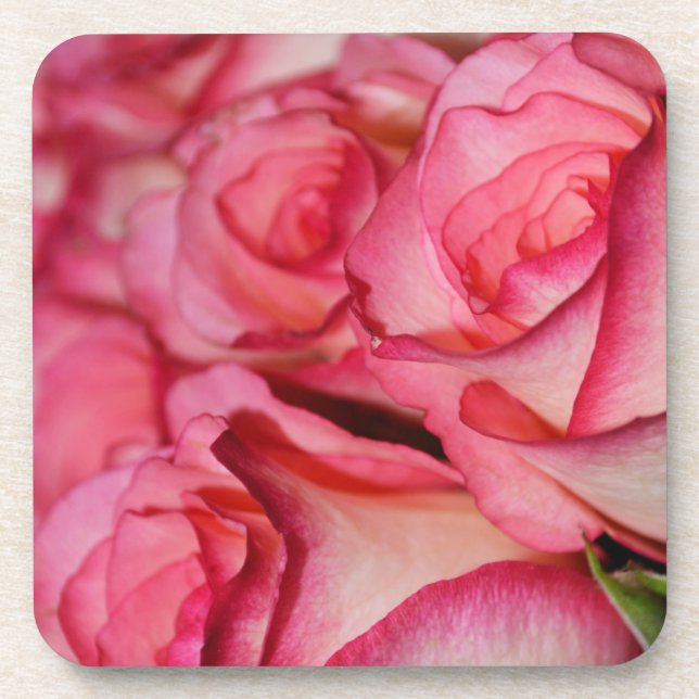 Blushing White Roses Coaster (Front)