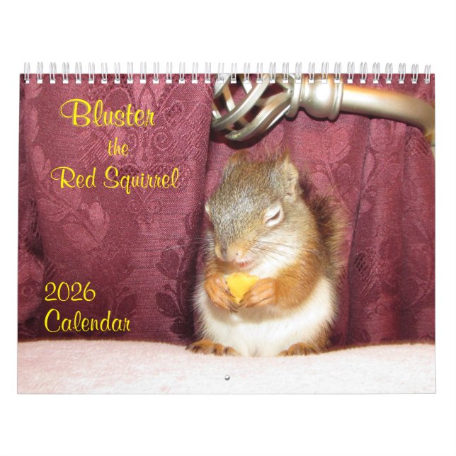 Bluster the Red Squirrel 2026 Calendar (Cover)