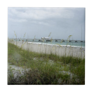 Blustery Day at the Beach Tile