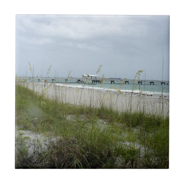 Blustery Day at the Beach Tile (Front)