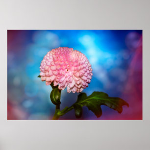 Blütenzauber Poster