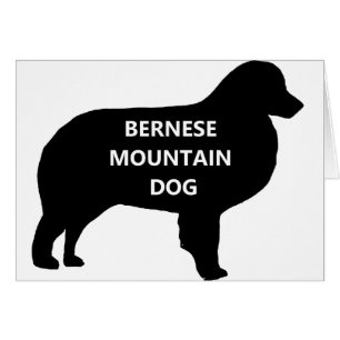 BMD  name silhouette.png