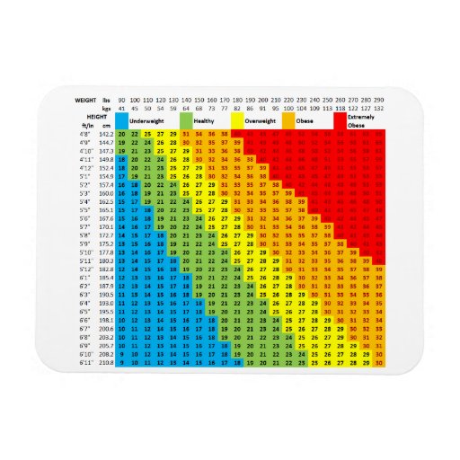 Image of BMI Chart Magnet