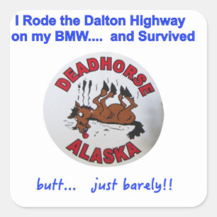 BMW Dalton Highway Survivor Square Sticker