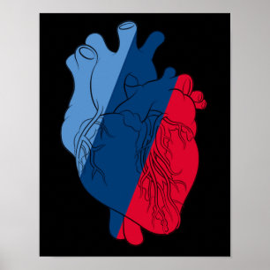 BMW M Power Heart Anatomy Poster