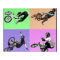 BMX Extreme Pop Art, Copyright Karen J Williams