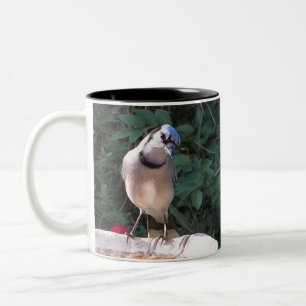 BN- Mockingbird and Blue jay mug