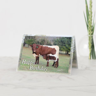 Bnelane-Z61, Bon&Bel7896-Z, Happy , Birthday, H... Card