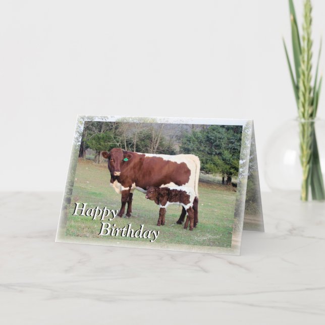 Bnelane-Z61, Bon&Bel7896-Z, Happy , Birthday, H... Card (Front)