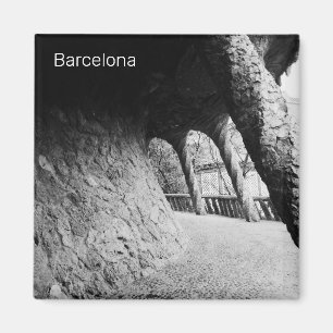Bnw colonnade of Park Guell Magnet