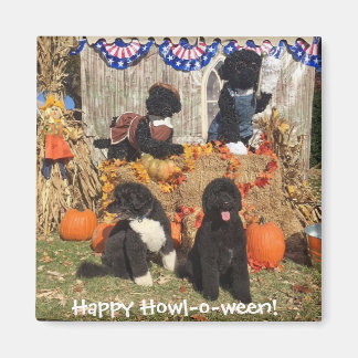 Bo and Sunny Halloween - Magnet