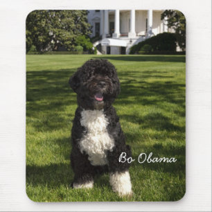Bo Obama Mouse Mat