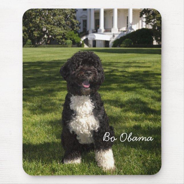 Bo Obama Mouse Mat (Front)