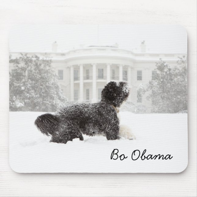 Bo Obama Mouse Mat (Front)