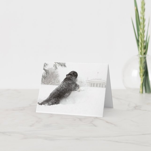 Bo Obama Note Card- South Grounds Card (Front)