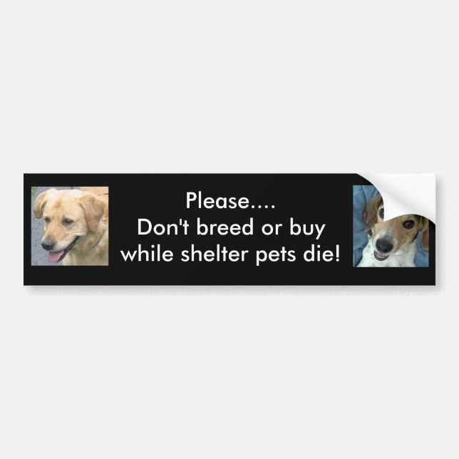 Bo & Stan bumper sticker (Front)