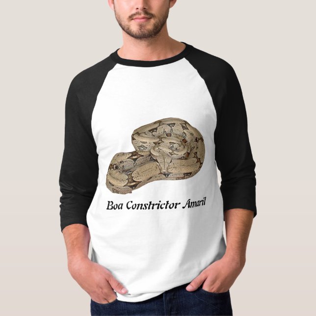 Boa Constrictor Amaril 3/4 Sleeve Raglan T-Shirt (Front)
