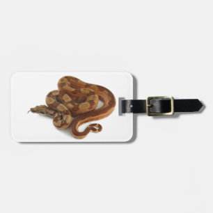 Boa Constrictor Coiled, Flicking Tongue Luggage Tag