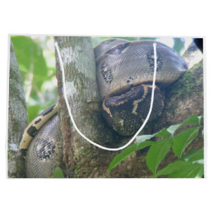 Boa Constrictor Gift Bag